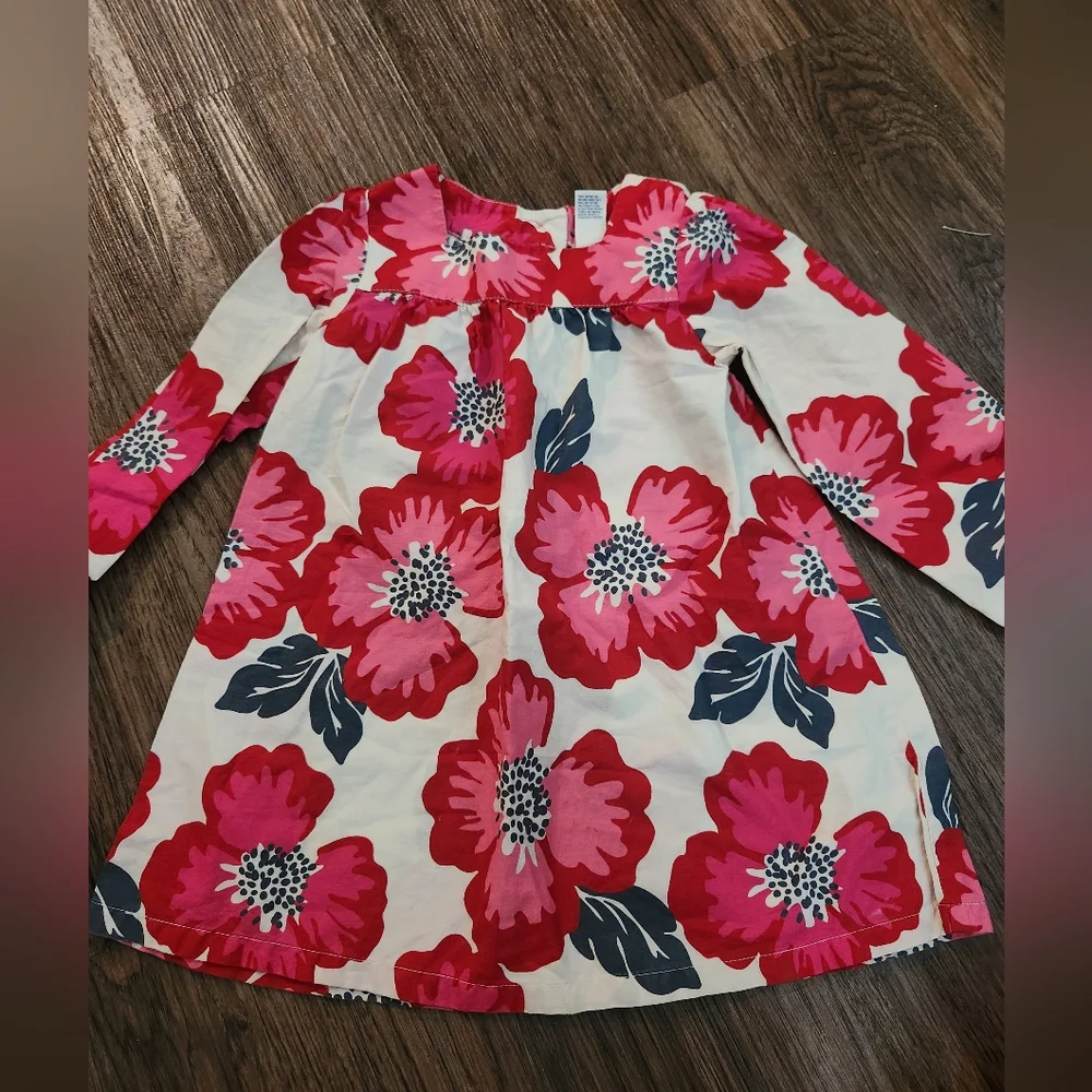 OshKosh B'gosh Red and Pink Floral Dress